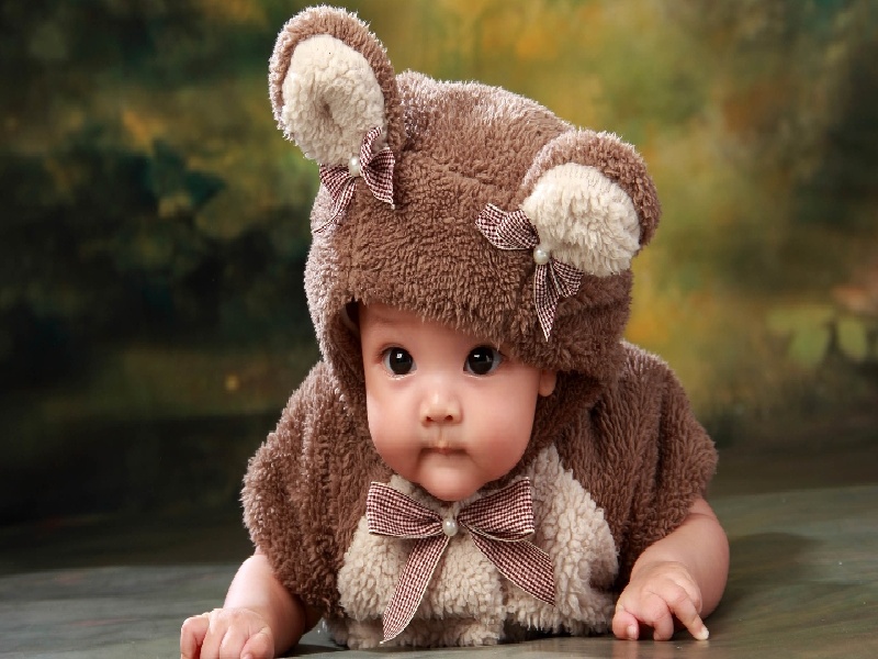 刘景瑜试管,试管桔型方案